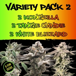 Variety Pack 2 - Elev8 Seeds