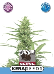 Medical Skunk - Kera Seeds