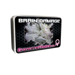 Brain Damage - Growers Choice