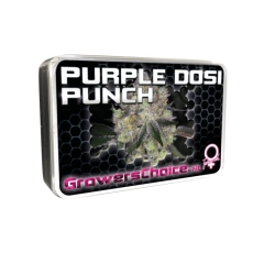 Purple Dosi Punch - Growers Choice