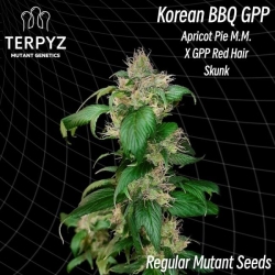 Korean BBQ GPP Reg. - TerpyZ Mutant Genetics