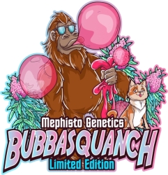 Bubbasquanch Auto - Mephisto Genetics