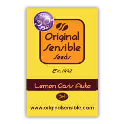 Lemon Oasis Auto - Original Sensible seeds