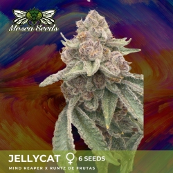 JellyCat - Mosca Seeds