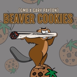 Beaver Cookies - Elev8 Seeds