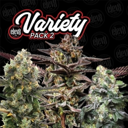 Variety Pack #1 - Elev8 Seeds