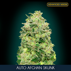 Auto Afghan Skunk - Advanced Seeds