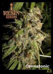 Cannatonic Reg. - Resin Seeds