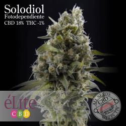 La Rica Clásica THC - élite Seeds