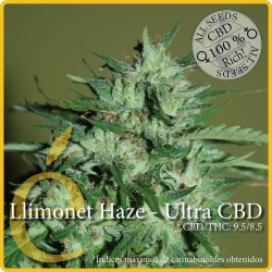 Llimonet Haze Ultra CBD - éLite Seeds