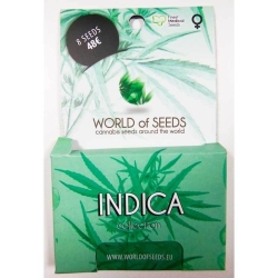 Indica Collection - World of Seeds