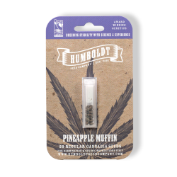 Pineapple Muffin regulär - Humboldt Seeds Company