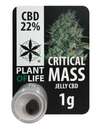 Critical Mass 22% CBD Jelly - Plant of Life