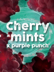 Cherry Mints x Purple Punch - Tramuntana Seeds