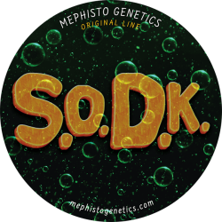 S.O.D.K Auto - Mephisto Genetics