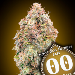 Do-Si-Dos Cookies Fast Version - 00 Seeds