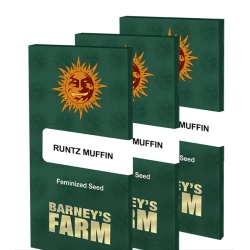 Runtz Muffin - Barney's Farm