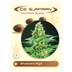 Shaman's High - De Sjamaan Seeds