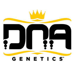 Return of the Mac Auto - DNA Genetics