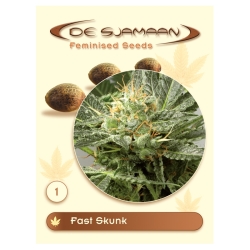 Fast Skunk - De Sjamaan Seeds