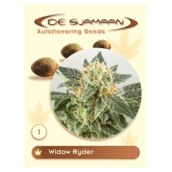 Widow Ryder - De Sjamaans Seeds