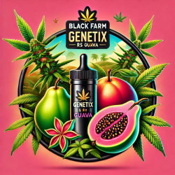 RS Guava - Black Farm Genetix