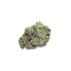 MAC 1 Auto - Growers Choice