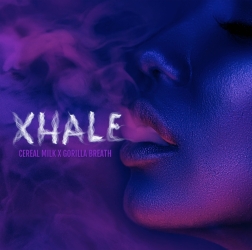 Xhale - ELEV8 Seeds