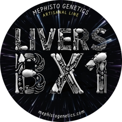 Livers Bx1 Auto - Mephisto Genetics