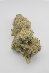 Remedy CBD - Resin Seeds