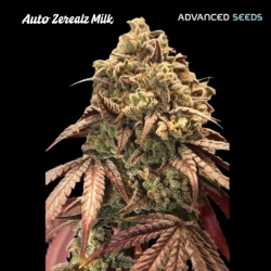 Auto Zerealz Milk