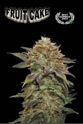 Superior Fruit Cake - Seedstockers