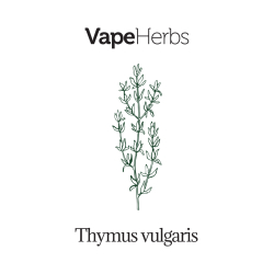 VapeHerbs – Thymian 30g