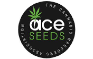 Snow Moon - Ace Seeds