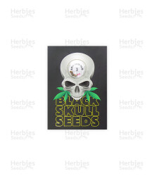 Auto Speed Haze (Blackskull Seeds) Cannabis-Samen