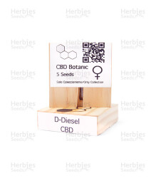 CBD D Diesel (CBD Botanic Seeds) Cannabis-Samen