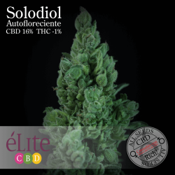 Solodiol Auto CBD - élite Seeds