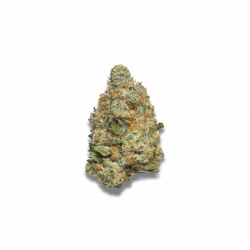 Apple Fritter Auto - Growers Choice