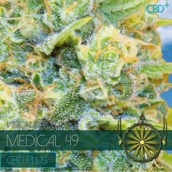 Medical 49 CBD+ - Vision Seeds