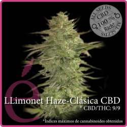 Llimonet Haze Clásica CBD - élite Seeds