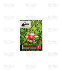 Berry Bomb Auto (Bomb Seeds) Cannabis-Samen