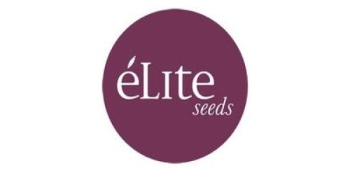 La Cheperudeta - éLite Seeds