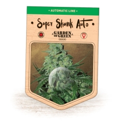 Super Skunk Auto - Garden of Green