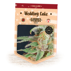 Wedding Cake - Garden of Green