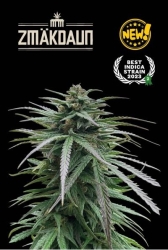 Zmakdaun - Seedstockers