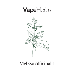 VapeHerbs – Melisse 30g