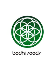 Mindfulness Reg. - Bodhi Seeds