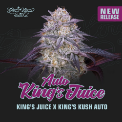 King’s Juice Auto - Green House Seeds