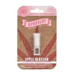 Apple Blossom regulär - Humboldt Seeds Company