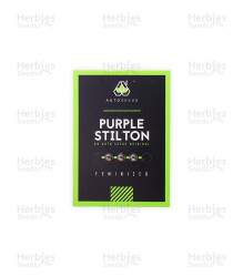 Purple Stilton Auto (Auto Seeds) Cannabis-Samen